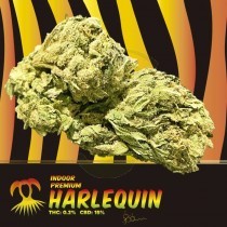 Harlequin CBD Indoor 