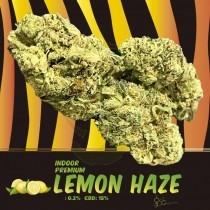 Lemon Haze CBD Indoor 