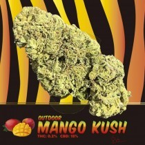 Mango Kush CBD Indoor 