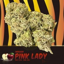 Pink Lady CBD Indoor 