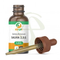 Salvia 2,5:1 Extracto – Salvia divinorum