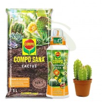 Cactus San Pedro 5cm + Sustrato Compo + Fertilizante