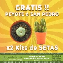 2 Kits de Setas + Cactus de REGALO !!