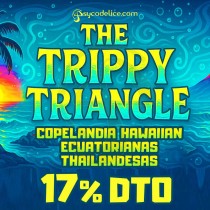 KIT The Trippy Triangle 