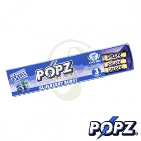 Popz Cones - Blueberry Burst 3und