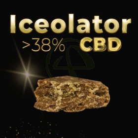 Iceolator Hash 2Gr CBD