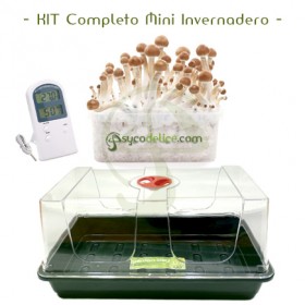 Kit Completo Invernadero Pequeño