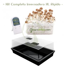 Kit Completo Invernadero XL Rígido 58 x 38 x 24 cm