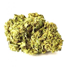 Chocolate Punch CBD Indoor 