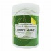 Lion´s Mane - Fit 4 Season 100g