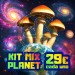 Kit Mix Planet – 5 Kits de Setas Fresh Mushrooms