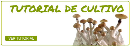 Tutorial de cultivo