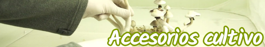 accesorios cultivo de setas