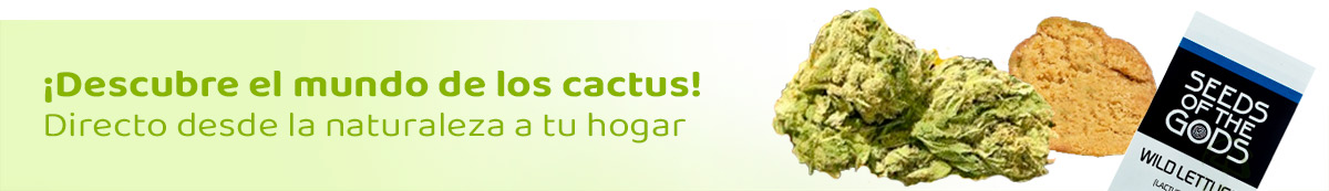 etnobotanica online