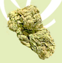 Flores Cbd