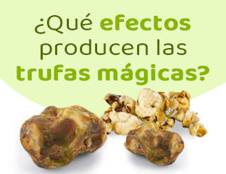 Comprar trufas mágicas